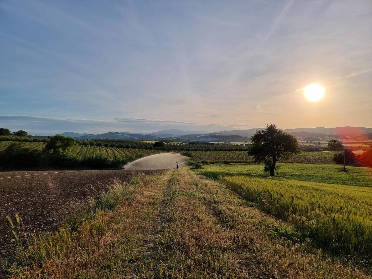 Agriturismo Essentia Dimora Rurale Larino Kültér fotó