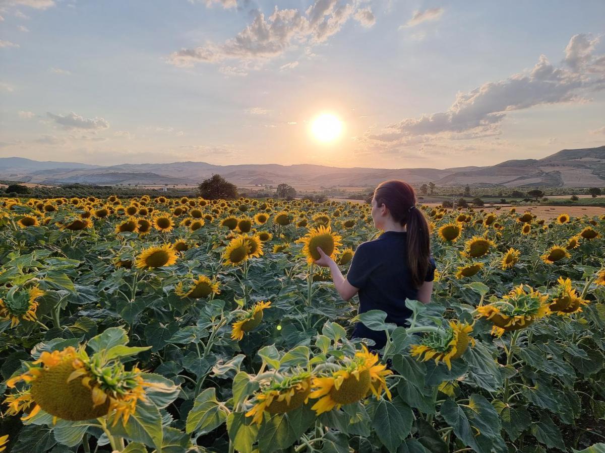 Agriturismo Essentia Dimora Rurale Larino Kültér fotó