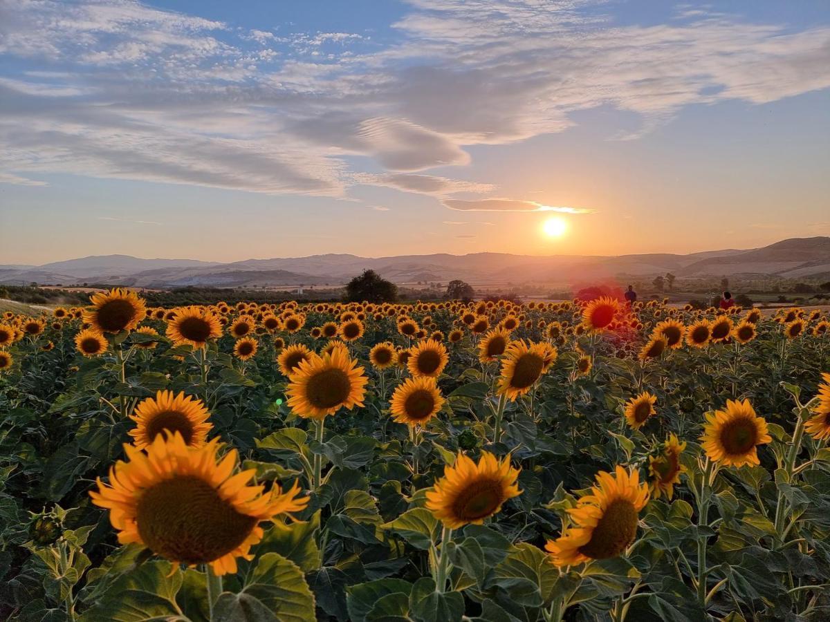Agriturismo Essentia Dimora Rurale Larino Kültér fotó