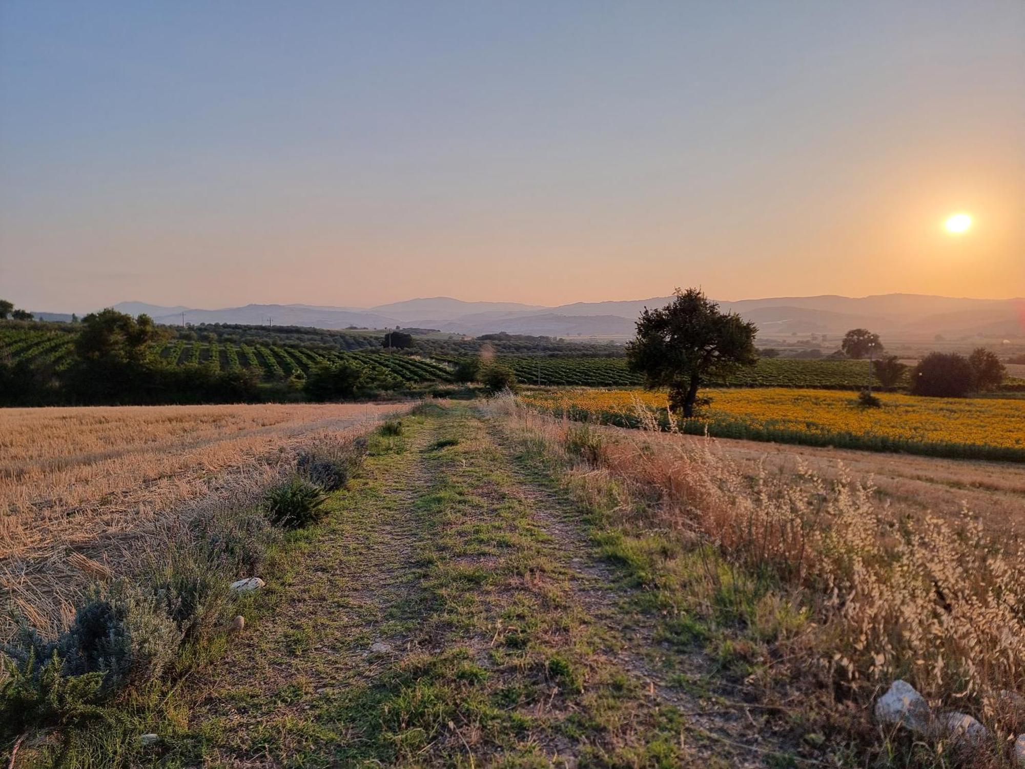 Agriturismo Essentia Dimora Rurale Larino Kültér fotó