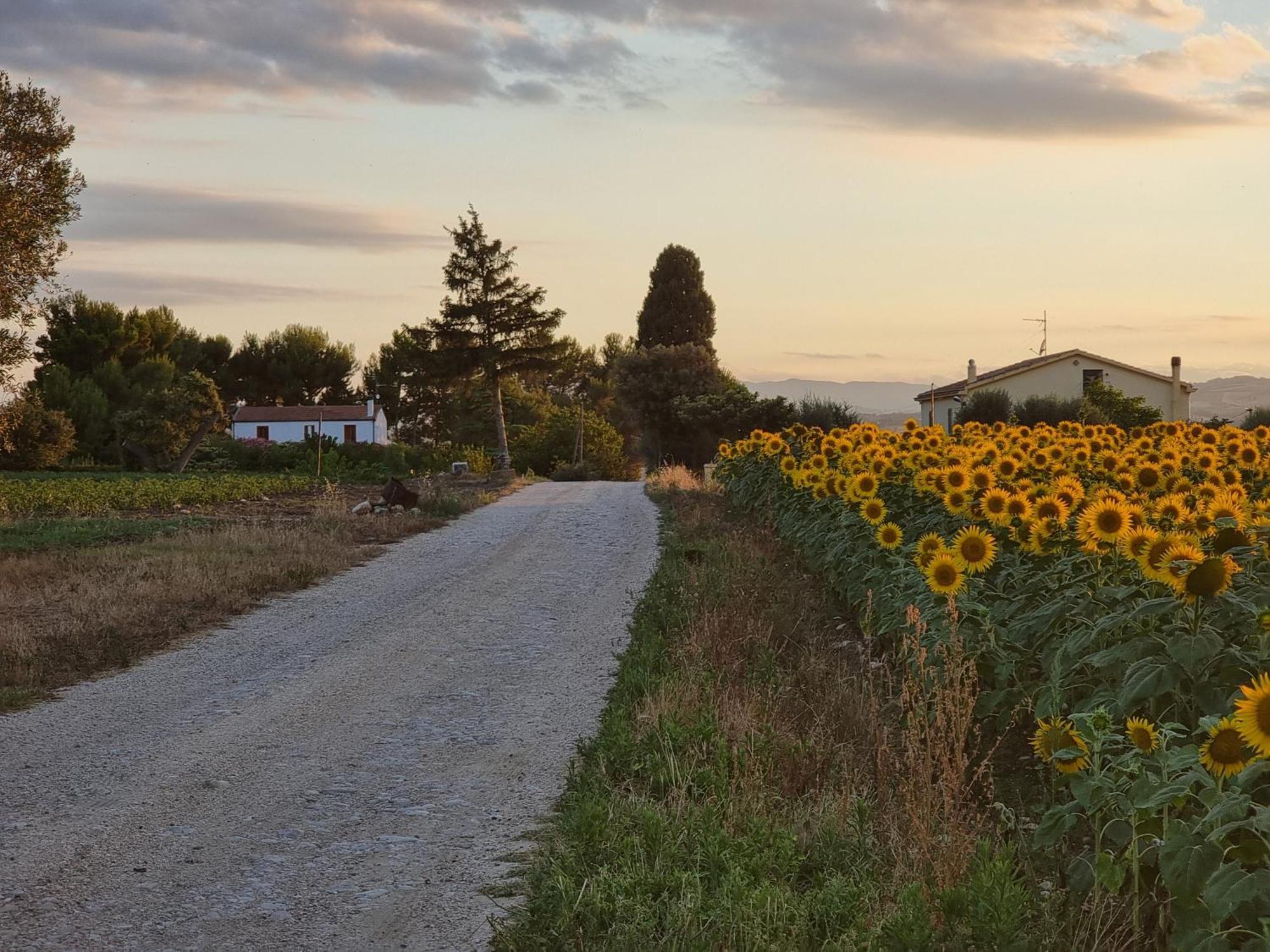Agriturismo Essentia Dimora Rurale Larino Kültér fotó
