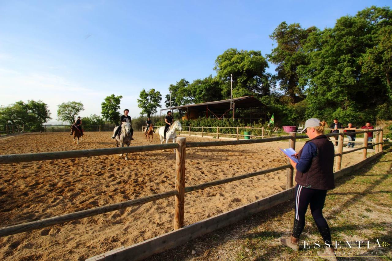 Agriturismo Essentia Dimora Rurale Larino Kültér fotó